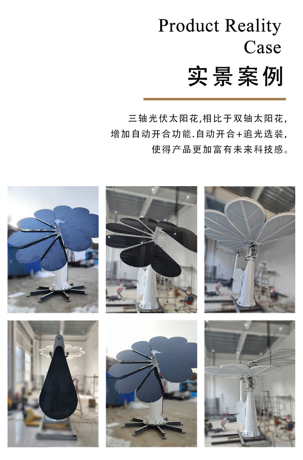 三軸光伏花7.jpg
