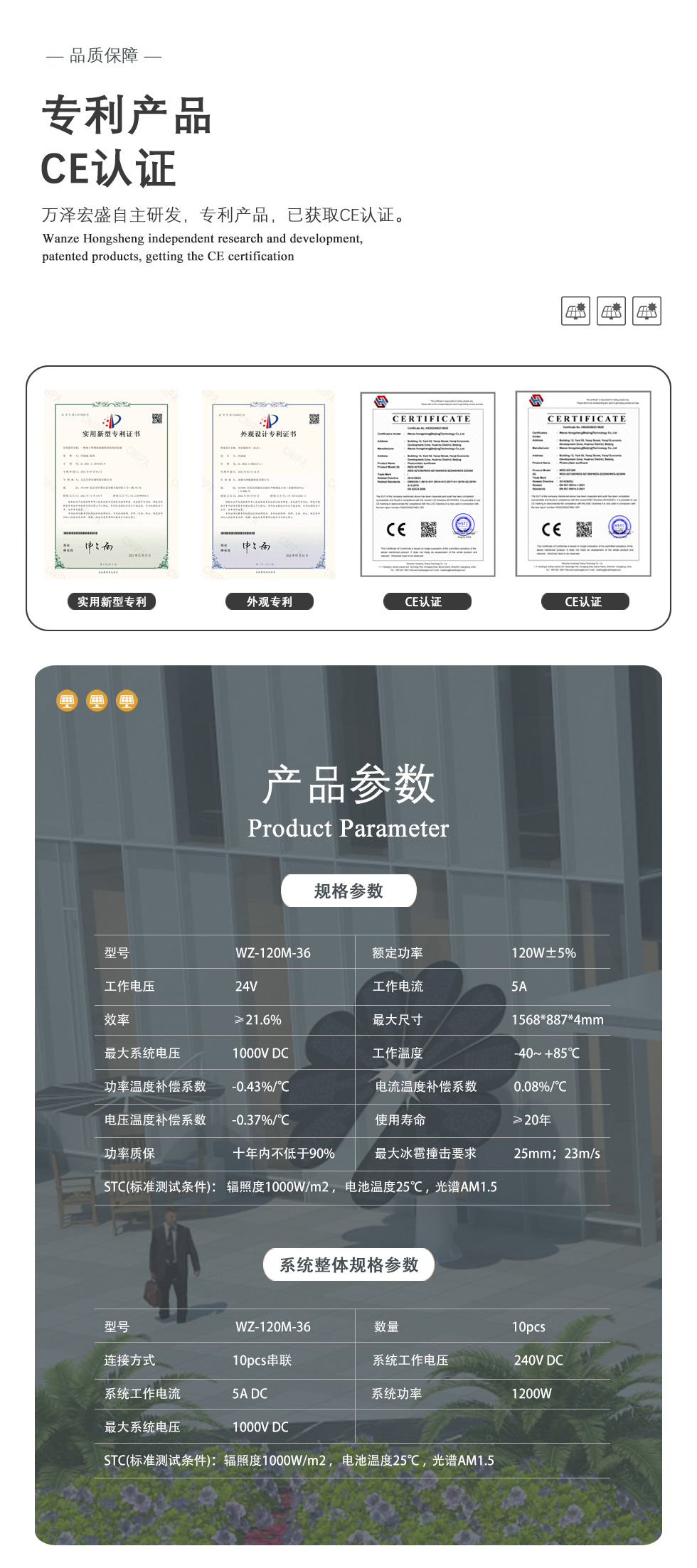 三軸光伏花9.jpg